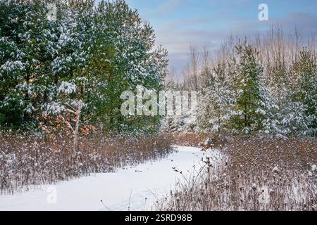 Uno dei miei hotel preferiti dal Door County Land Trust per le racchette da neve è la Oak Road Preserve, situata nel centro della contea di Door, Wisconsin Foto Stock