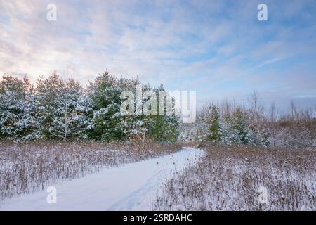 Uno dei miei hotel preferiti dal Door County Land Trust per le racchette da neve è la Oak Road Preserve, situata nel centro della contea di Door, Wisconsin Foto Stock