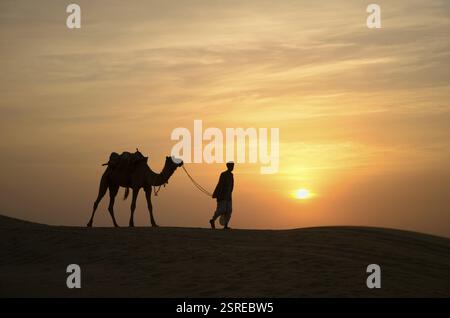 I cammelli e custodi, Jaisalmer, Rajasthan, India, Asia Foto Stock