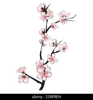 Fiori in fiore primaverile ramificano i ciliegi Sakura Illustrazione Vettoriale