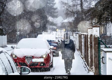 Wintereinbruch, Schneefall morgens in Waldperlach, verschneite Bürgersteige und Autos, München, 20. Novembre 2024 Deutschland, München, 16. Febbraio 2025, Wintereinbruch, Schneefall morgens um 10 Uhr in Waldperlach, eine Anwohnerin beim Morgenspaziergang durch die verschneite Nebenstraße, zugeschneite Bürgersteige und Autos, Temperaturen bei -2 Grad, Glättegefahr, Schnee, Winterwetter, Inverno, Bayern, *** inizio dell'inverno, nevicate al mattino a Waldperlach, marciapiedi e automobili innevati, Monaco di Baviera, 20 novembre 2024 Germania, Monaco di Baviera, 16 febbraio 2025, inizio dell'inverno, nevicata alle 10:00 in Foto Stock