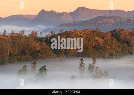 Le montagne del Lake District all'alba con luce dorata sulle pike di Langdale e sugli alberi nebbiosi della valle. Tarn Hows, Ambleside, Inghilterra. Foto Stock