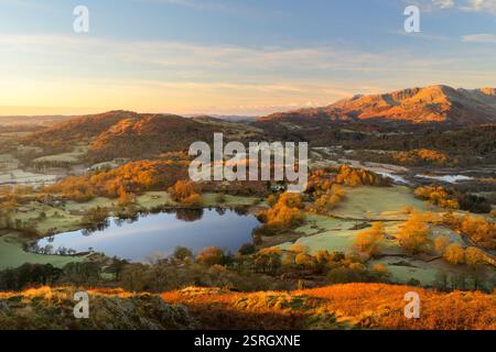 Loughrigg Tarn nel Lake District in una splendida mattinata d'autunno mentre la luce dorata colpisce le vette di Wetherlam. Foto Stock