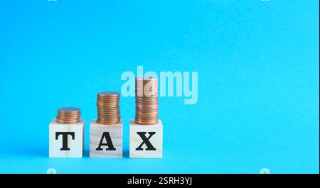 Testo fiscale scritto su blocchi di legno con monete impilate. Concetto di stagione fiscale aziendale. Spazio libero per le copie. Foto Stock