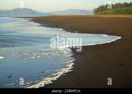 Velas beach, Ratnagiri, Maharashtra, India, Asia Foto Stock