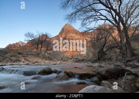 Alba sul fiume Virgin, Zion National Park, Utah. L'acqua scorre sopra le rocce, riflettendo la luce. Foto Stock
