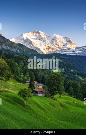 Paesaggio di montagna innevata Jungfrau con chalet rustico in collina nel villaggio di montagna Wengen sulle Alpi Bernesi, Svizzera Foto Stock