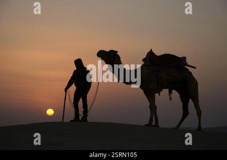 I cammelli e custodi, Jaisalmer, Rajasthan, India, Asia Foto Stock