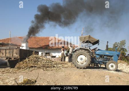 Piccolo impianto di produzione di gabbie di gabbie nel casale di Mehangwa, Narsimhapur, Jabalpur, Madhya Pradesh, India, Asia Foto Stock