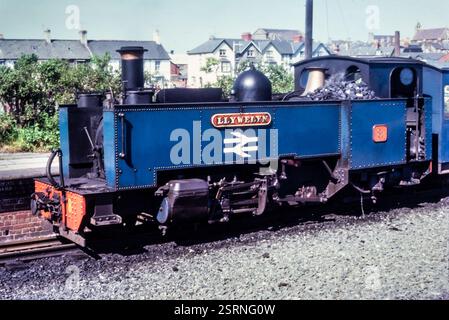 British Rail vale of Rheidol Railway Locomotive No. 8 Llywelyn, in livrea blu British Rail nazionalizzata nel 1975. Ferrovia a scartamento ridotto ad Aberystwyth, Ceredigion, Galles, Regno Unito Foto Stock