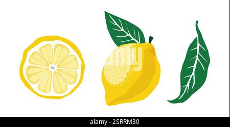 Set di un limone, una fetta di limone e una foglia. Illustrazione Vettoriale
