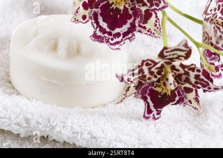 Elementi di Spa con asciugamani bianchi, sapone naturale e orchidee Foto Stock