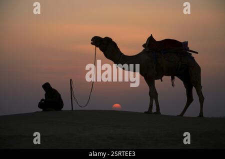 I cammelli e custodi, Jaisalmer, Rajasthan, India, Asia Foto Stock