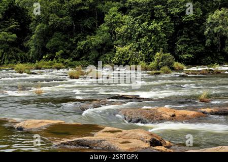 Fiume Chalakudy, Vazhachal foresta, Thrissur, Kerala, India, Asia Foto Stock