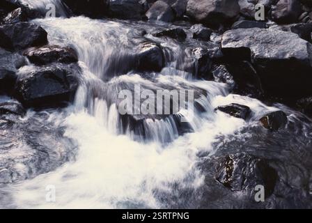 Falls, Chinchoti, Vasai Bassein, Maharashtra, India, Asia Foto Stock