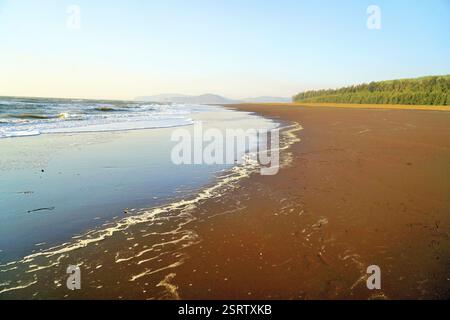 Velas beach, Ratnagiri, Maharashtra, India, Asia Foto Stock