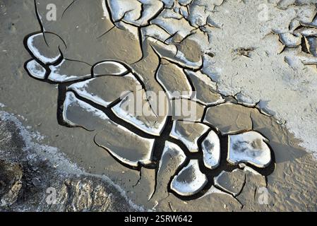 Massa incrinato, Bhagal Beach, Valsad, Gujarat, India, Asia Foto Stock