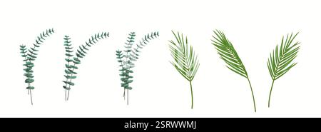 Illustrazione 3D realistica di più steli botanici, tra cui eucalipto e foglie di palma, isolati su sfondo bianco. Perfetto per un decorativo Illustrazione Vettoriale