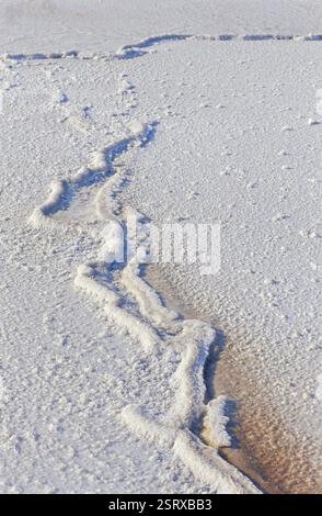 Salt Lake, Navlakhi, Kutch, Gujarat, India, Asia Foto Stock