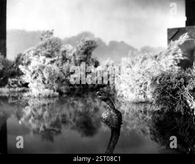 KING KONG [US 1933] data: 1933 Foto Stock