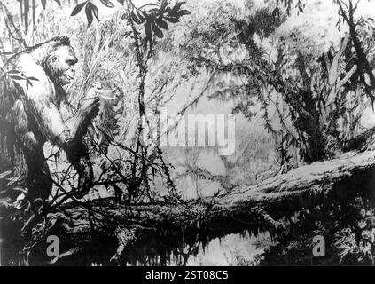 KING KONG [US 1933] data: 1933 Foto Stock
