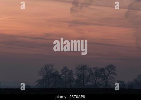 L'immagine mostra un paesaggio al crepuscolo con due alberi in primo piano. Il cielo è arancione-rosa e le sagome degli alberi aggiungono fascino e mistero Foto Stock
