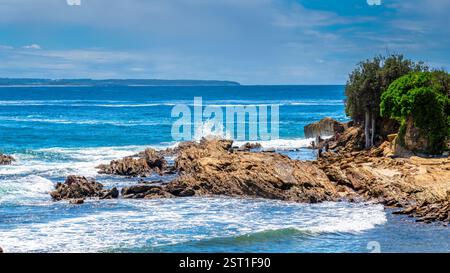 Estate in riva al mare a Bermagui nella contea di Eurobadalla sulla costa meridionale del nuovo Galles del Sud, Australia. Foto Stock