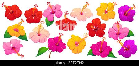 Fiori tropicali di ibisco delle Hawaii, boccioli di piante tropicali in tonalità rosse, rosa, gialle e viola con foglie verdi lussureggianti, delicati petali e stame Illustrazione Vettoriale