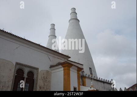 Il Palazzo Nazionale di Sintra si erge come un maestoso monumento portoghese, un'affascinante miscela di stili architettonici. Questo castello da favola, annidato nel mezzo di Foto Stock