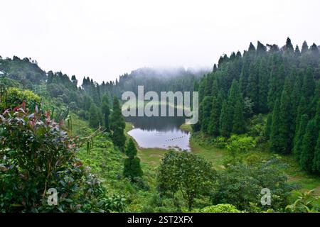 Lago silenzioso tra i pini circostanti. Foto Stock