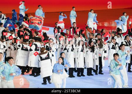 Harbin, Cina. 14 febbraio 2025. I membri della delegazione della Cina a Hong Kong sfilano durante la cerimonia di chiusura dei IX Giochi invernali asiatici Harbin 2025 il 14 febbraio 2025 a Harbin, nella provincia cinese di Heilongjiang. Crediti: Zhao Yuhang/China News Service/Alamy Live News Foto Stock