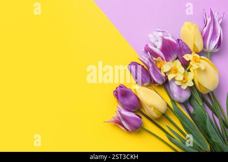 Fiore primaverile di tulipani viola e gialli e narcisi gialli su sfondo giallo viola con un posto per il testo. Copia di spazi, piatti, mockup per offerte speciali come pubblicità o altre idee. Concetto di Pasqua Foto Stock