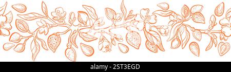 Bordo dettagli Almond. Ramoscello, noci, fiori e foglie senza cuciture disegnati a mano. Illustrazione vintage con incisioni floreali. Motivo a trama botanica. Aroma oi Illustrazione Vettoriale