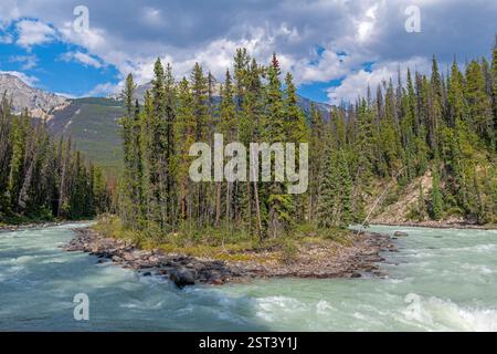 Pine Tree Island presso le Sunwapta Falls in estate, Jasper National Park, Canada. Foto Stock