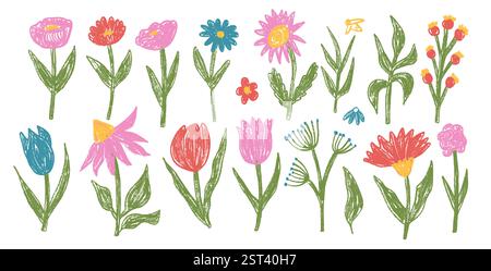 Set disegnato per pastelli di fiori. Tulipani primaverili, margherite, aster e marguerite. Forma floreale pastello per bambini. Illustrazione a matita vettoriale isolat Illustrazione Vettoriale