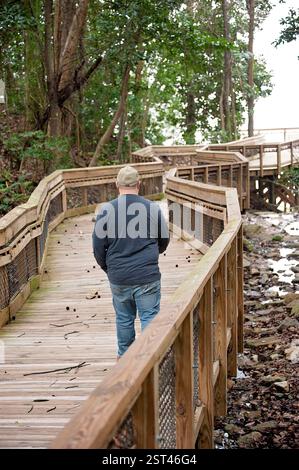 Uomo che cammina lungo una passerella tortuosa in legno in un ambiente forestale Foto Stock