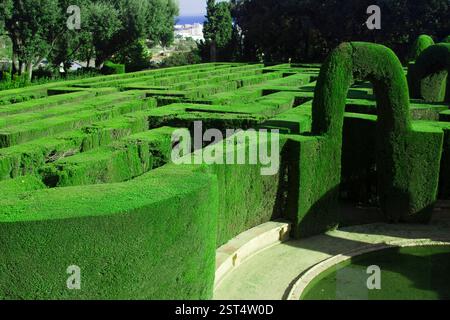 Labirinto di siepi verdi, vista aerea. Progettazione complessa, sfida, ricerca della strada e esplorazione. Un labirinto di giardini. Foto Stock