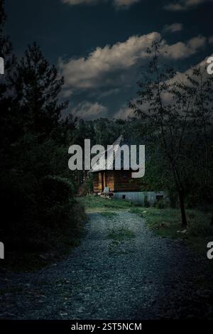 Cabina di legno nella foresta di notte Foto Stock