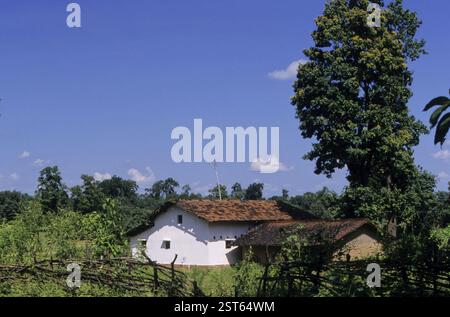 Bastar, Madhya Pradesh, India, Asia Foto Stock
