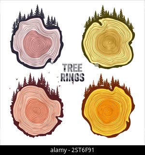 Tronco di alberi rotondi taglia con alberi, foreste e uccelli. Fette di pino o quercia segate, legname. Sega tagliava legname, legno. Struttura in legno marrone con anelli ad albero. Mano Illustrazione Vettoriale