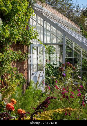 Serra magra con fiori luminosi all'esterno nel giardino recintato di Beningbrough Hall Foto Stock