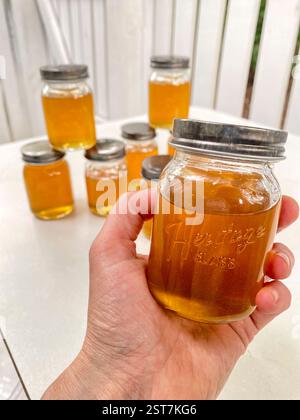 Vasi di vetro riempiti di miele e pettine lasciati dopo che un grande alveare è stato rimosso dalle pareti di una casa. Foto Stock