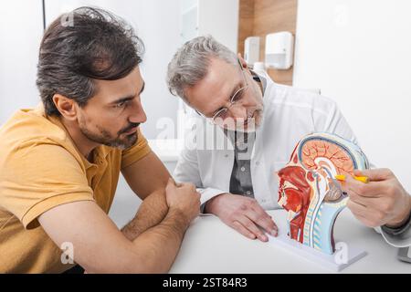 Medico che mostra le strutture della testa sul modello anatomico a un paziente con mal di testa durante la consultazione in neurologia. Trattamento di emicranie e mal di testa Foto Stock