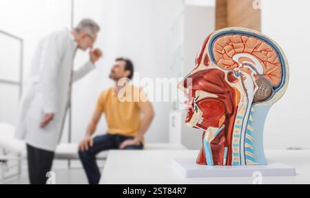 Neurologia, immagine concettuale. Modello anatomico della testa umana con strutture vascolari e nervi in primo piano della consultazione neurologica con il paziente Foto Stock