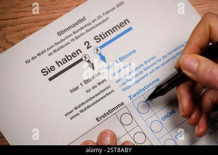 Symbolfoto zum Thema Briefwahl. Ausfuellen eines Wahlzettels zur Bundestagswahl 2025. Berlino, 17.02.2025. Berlin Deutschland *** foto simbolo sulla t Foto Stock