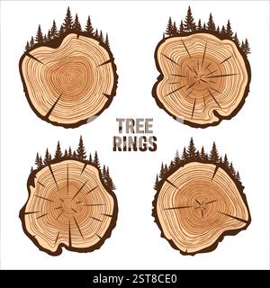Tronco di alberi rotondi taglia con alberi e foreste. Fette di pino o quercia segate, legname. Sega tagliava legname, legno. Struttura in legno marrone con anelli ad albero. Disegnato a mano Illustrazione Vettoriale