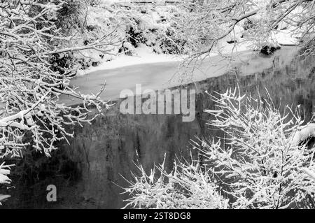 Rami d'albero appena ricoperti di neve incorniciano un torrente parzialmente congelato Foto Stock