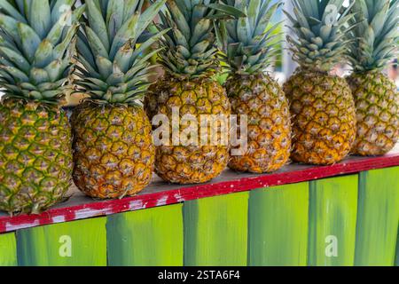 Fila di ananas in un negozio per preparare bevande alcoliche da cocktail Foto Stock
