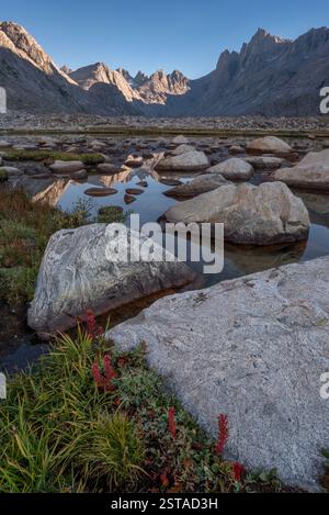 Prato, stagno e picchi, Wind River Range, Wyoming. Foto Stock