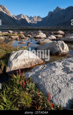 Prato, stagno e picchi, Wind River Range, Wyoming. Foto Stock